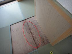 畳下の染み