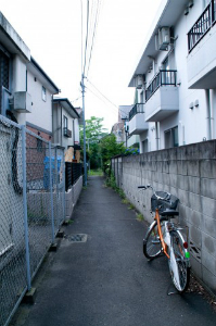 道路の現況