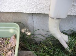 基礎のひび割れ