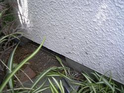 換気口