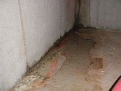 漏水跡